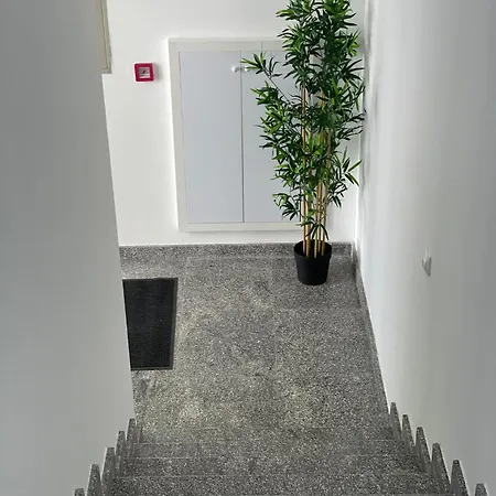 Morpheus Sremska Mitrovica